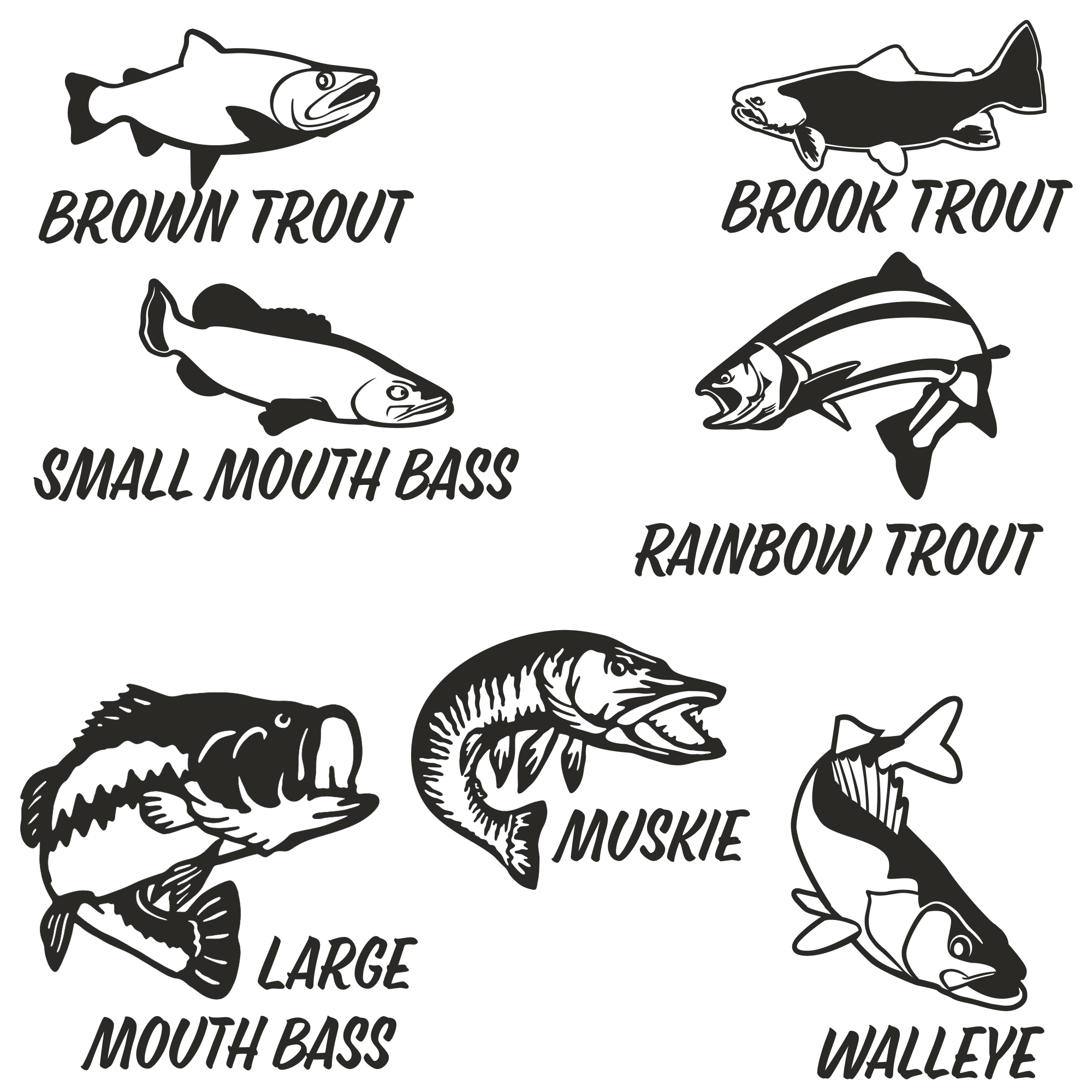 Fish collection